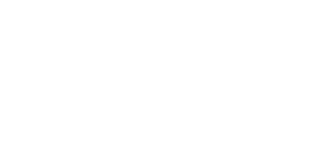 Silver Springs Logo