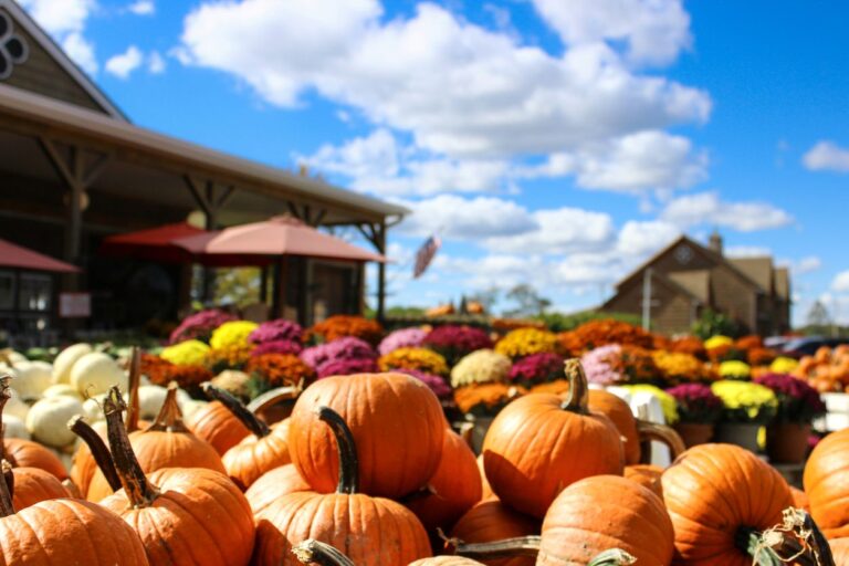 Pile of orange pumpkins with flowers and the American flag waving in the background.