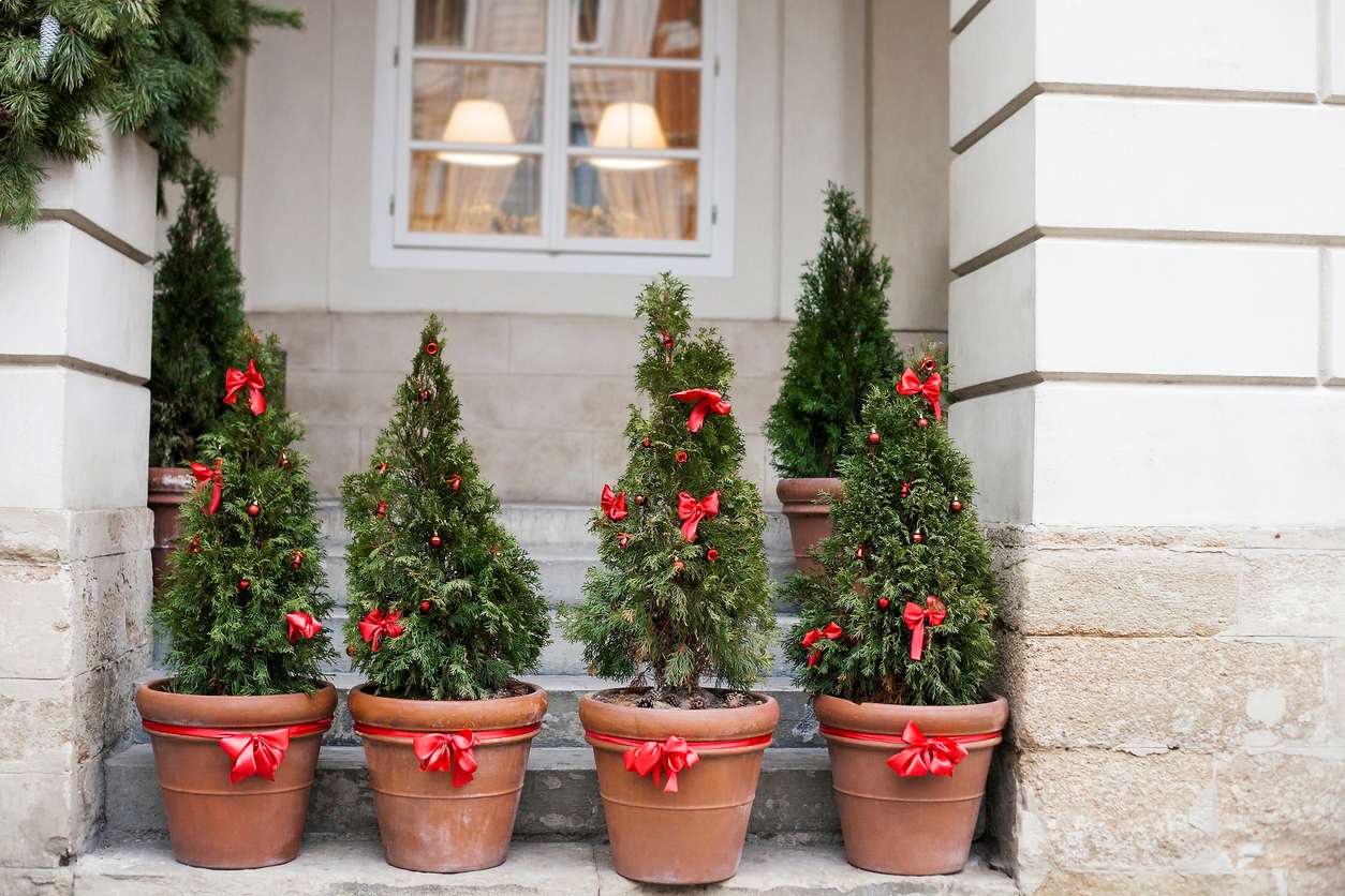 A row of potted Christmas trees adorned with bows sits on the step of an apartment home.